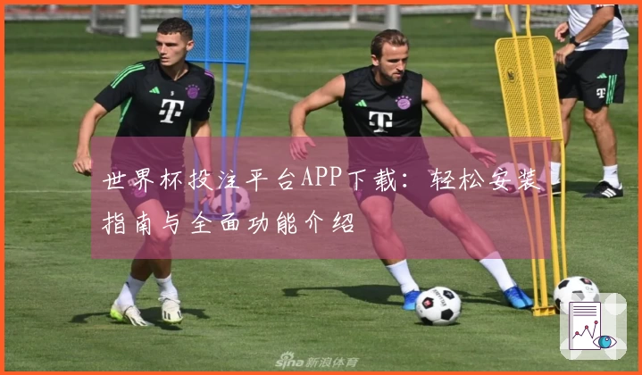 世界杯投注平台APP下载：轻松安装指南与全面功能介绍