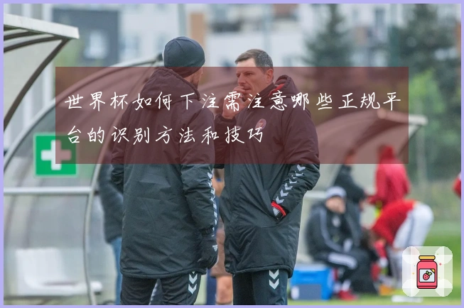世界杯如何下注需注意哪些正规平台的识别方法和技巧