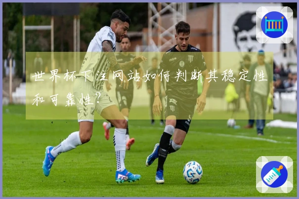 世界杯下注网站如何判断其稳定性和可靠性？