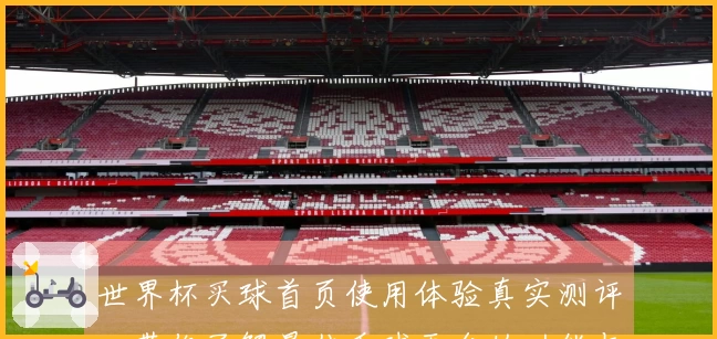 世界杯买球首页使用体验真实测评，带你了解最佳看球平台的功能与操作指南