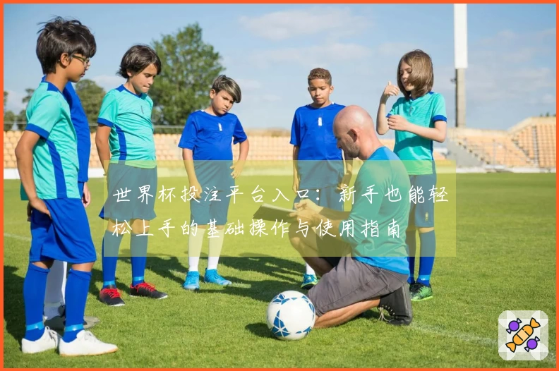 世界杯投注平台入口：新手也能轻松上手的基础操作与使用指南