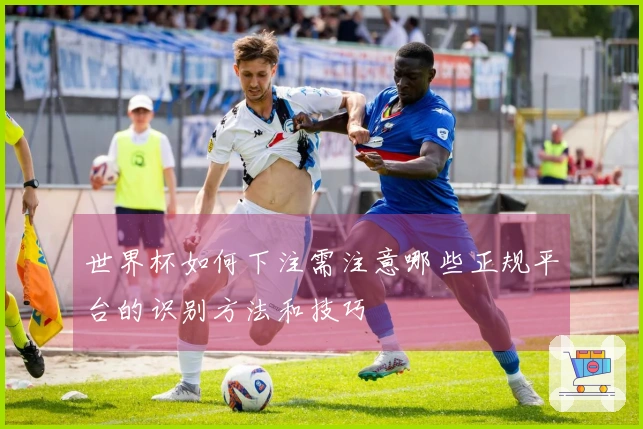 世界杯如何下注需注意哪些正规平台的识别方法和技巧