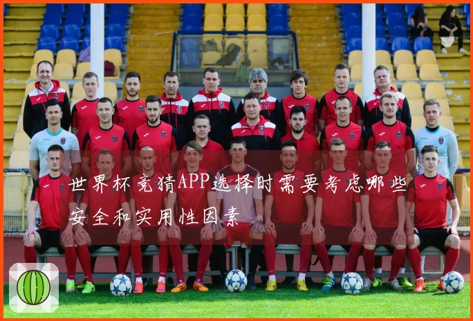 世界杯竞猜APP选择时需要考虑哪些安全和实用性因素