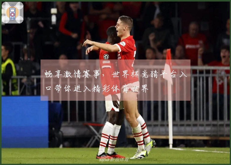 畅享激情赛事，世界杯竞猜平台入口带你进入精彩体育世界