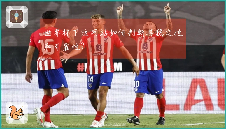 世界杯下注网站如何判断其稳定性和可靠性？