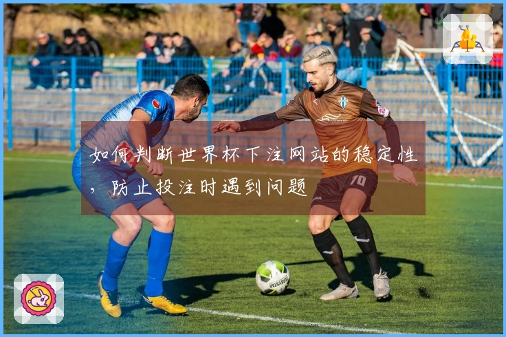 如何判断世界杯下注网站的稳定性，防止投注时遇到问题