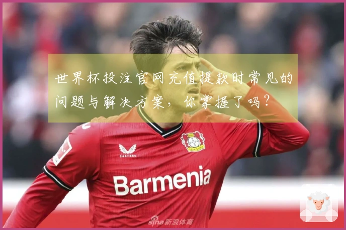 世界杯投注官网充值提款时常见的问题与解决方案，你掌握了吗？