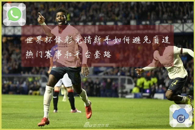世界杯体彩竞猜新手如何避免盲追热门赛事和平台套路